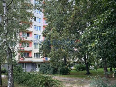 Pronájem kompletně vybaveného  bytu 3+1, 67 m2, ul. Pekárenská, České Budějovice