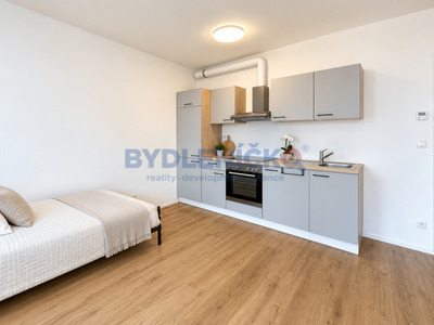 Prodej bytu 1kk, 42m2, Nová ulice, České Budějovice