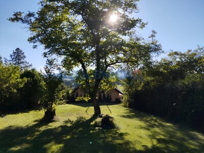 Prodej stavebního pozemku 705 m2 pro rekreaci u rybníka Dehtář v jižních Čechách, okres České Budějovice