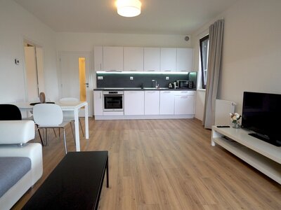 Prodej vybaveného apartmánu 2+kk o užitné ploše 83m2, Lipno nad Vltavou