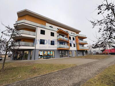 Pronájem bytu 3+kk (ateliér), 61 m2, ulice Rožnovská, České Budějovice