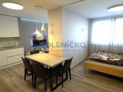 Prodej krásného designového bytu 1+kk v OV, 46 m2, Hnězdenská ul., Praha -Troja